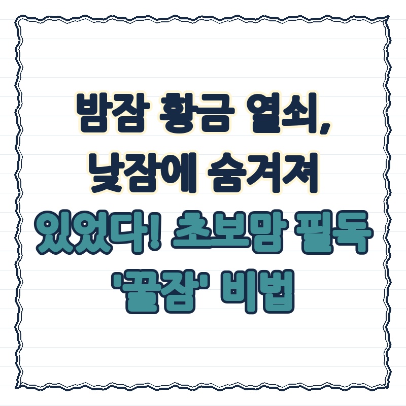 밤잠 황금 열쇠, 낮잠에 숨겨져 있었다! 초보맘 필독 '꿀잠' 비법